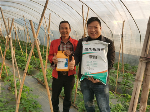 水溶肥，拉姆拉，翠姆