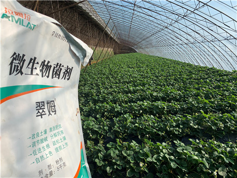 微生物菌劑，拉姆拉，翠姆