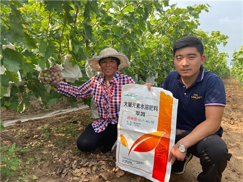 大量元素水溶肥，拉姆拉，翠姆