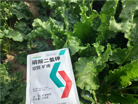 水溶肥，拉姆拉，翠姆