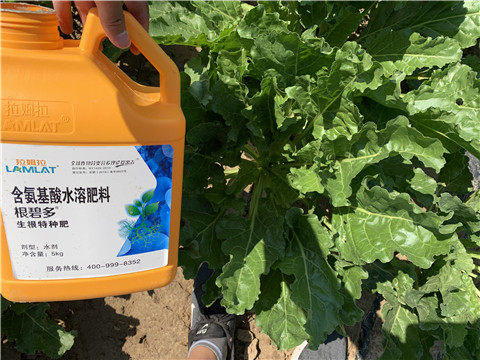 水溶肥，拉姆拉，翠姆