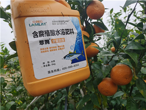 水溶肥，拉姆拉，翠姆