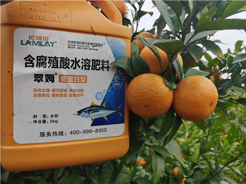 水溶肥，拉姆拉，翠姆