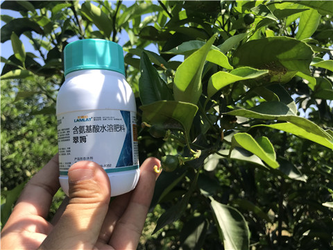 葉面肥，拉姆拉，翠姆