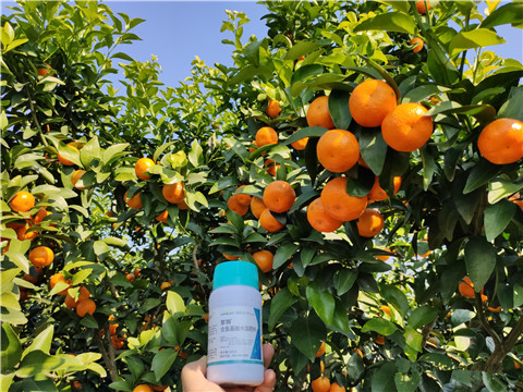 葉面肥，拉姆拉，翠姆