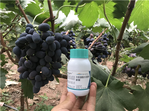 進口水溶肥，拉姆拉，翠姆