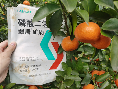 水溶肥，拉姆拉，翠姆