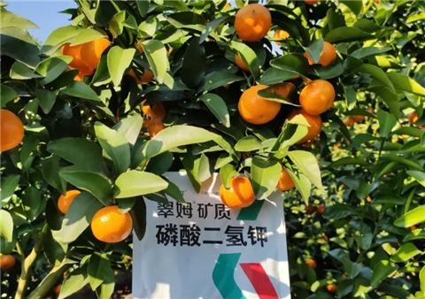 磷酸二氫鉀，拉姆拉，翠姆