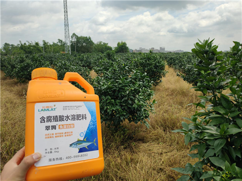 水溶肥，拉姆拉，翠姆