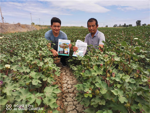 水溶肥，拉姆拉，翠姆