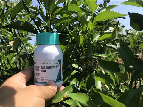 葉面肥，拉姆拉，翠姆