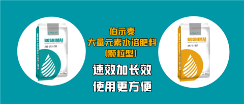 顆粒肥，拉姆拉，翠姆