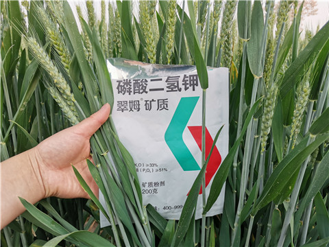 葉面肥，水溶肥，磷酸二氫鉀