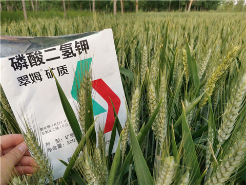 葉面肥，水溶肥，磷酸二氫鉀