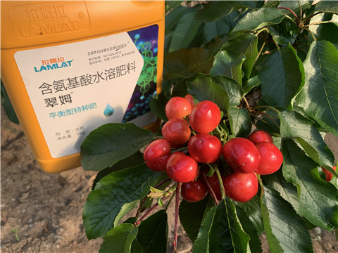 氨基酸水溶肥，拉姆拉，翠姆