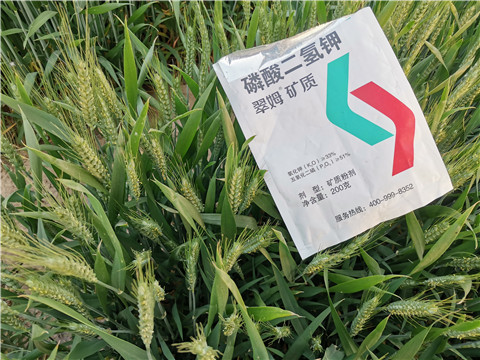 水溶肥，拉姆拉，翠姆