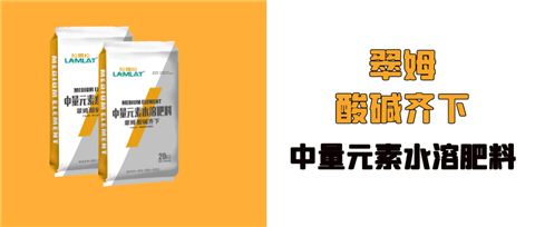 水溶肥，拉姆拉，翠姆