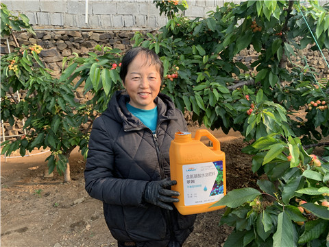 水溶肥，拉姆拉，翠姆