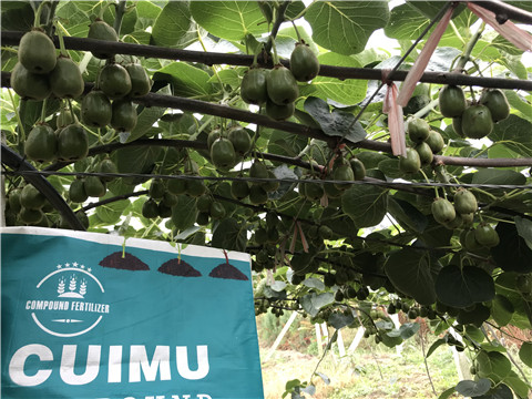 顆粒復(fù)合肥，拉姆拉，翠姆