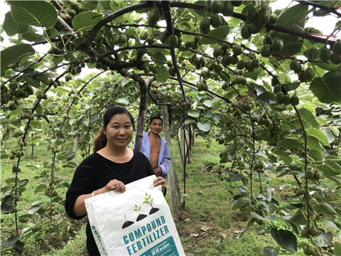 顆粒復(fù)合肥，拉姆拉，翠姆