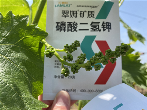 磷酸二氫鉀，拉姆拉，翠姆