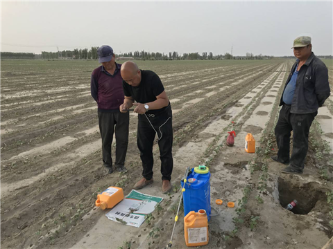 水溶肥，拉姆拉，翠姆