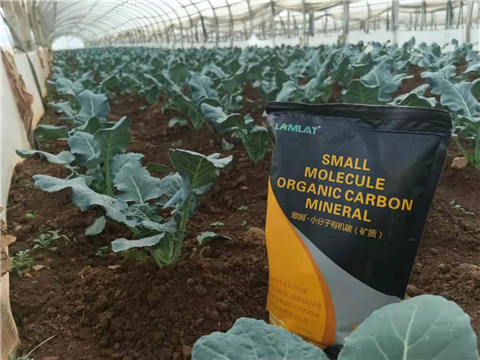 小分子有機碳，拉姆拉，翠姆