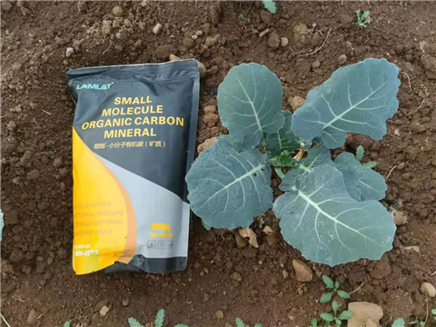 小分子有機碳，拉姆拉，翠姆