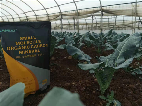 小分子有機碳，拉姆拉，翠姆