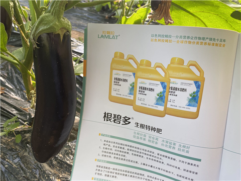 水溶肥，拉姆拉，翠姆