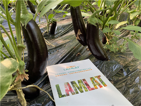 水溶肥，拉姆拉，翠姆