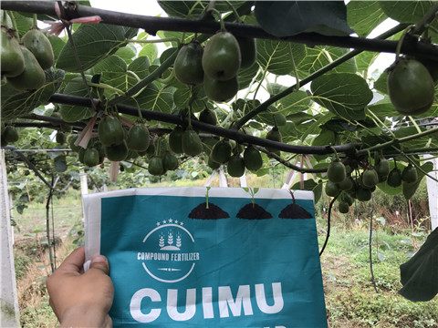 顆粒水溶肥，拉姆拉，翠姆