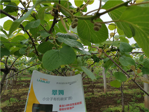 小分子有機(jī)碳，拉姆拉，翠姆