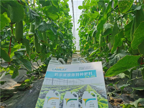 水溶肥，拉姆拉，翠姆