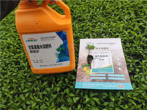 水溶肥，拉姆拉，翠姆