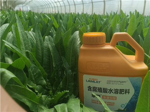 沖施肥，拉姆拉，翠姆