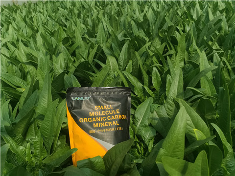 礦源黃腐酸鉀，拉姆拉，翠姆