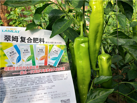 辣椒，拉姆拉，翠姆