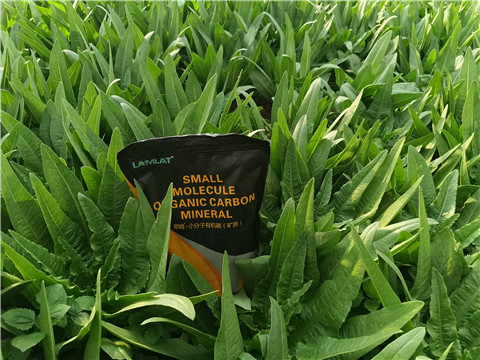 礦源黃腐酸鉀，拉姆拉，翠姆