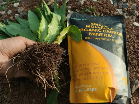 礦源黃腐酸鉀，拉姆拉，翠姆