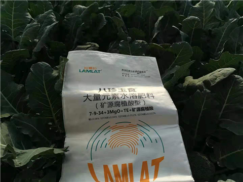 大量元素水溶肥，拉姆拉，翠姆