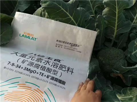 大量元素水溶肥，拉姆拉，翠姆