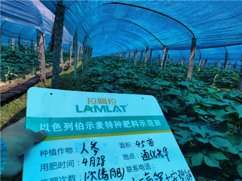 水溶肥，拉姆拉，翠姆