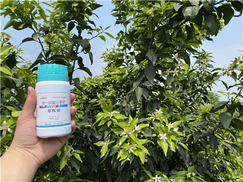 硼肥，拉姆拉，翠姆