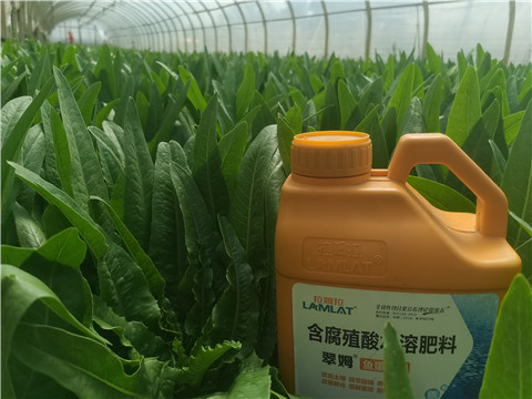 水溶肥，翠姆，拉姆拉