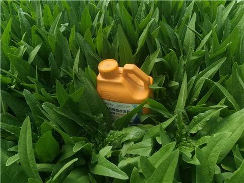水溶肥，翠姆，拉姆拉