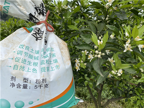 水溶肥，翠姆，拉姆拉