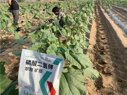 水溶肥，翠姆，拉姆拉