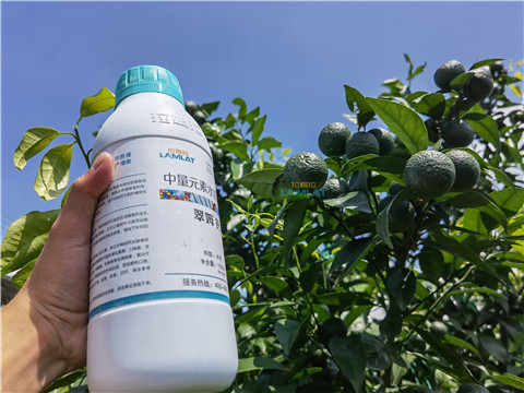 水溶肥，翠姆，拉姆拉