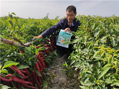 水溶肥，翠姆，拉姆拉